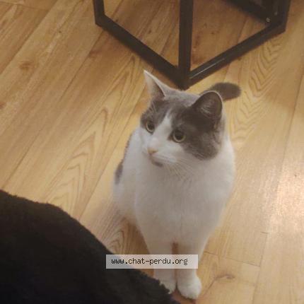 Photo 1/1 yuna Chat lost in Hericourt