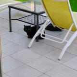 Picture of cat found at La Moutonne