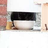 Picture of cat found at Gaillac