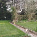 Picture of cat found at La Bouexiere