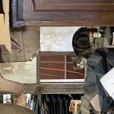 Picture of cat found at Saubrigues