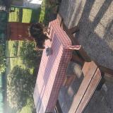 Picture of cat found at Sartilly Baie Bocage