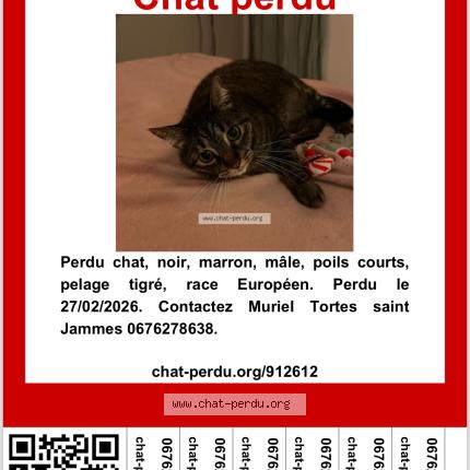 Photo 1/1 Sushi Chat lost in Bordeaux