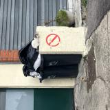 Picture of cat found at Champigny Sur Marne