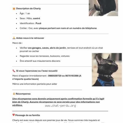 Photo 1/1 Charly Chat lost in Bouafle