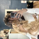 Picture of cat lost at Gruchet Le Valasse