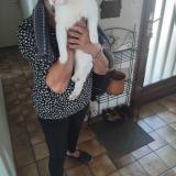 Picture of cat found at Montceau