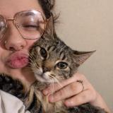 Picture of cat lost at Clermont En Argonne