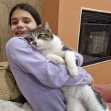 Picture of cat lost at Meurchin