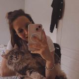 Picture of cat lost at Saint Andre D Hebertot