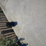 Picture of cat found at Boulogne Billancourt