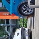 Picture of cat found at Lyon