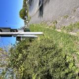 Picture of cat found at Dammartin En Goele