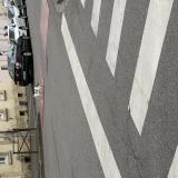 Picture of cat found at Metz