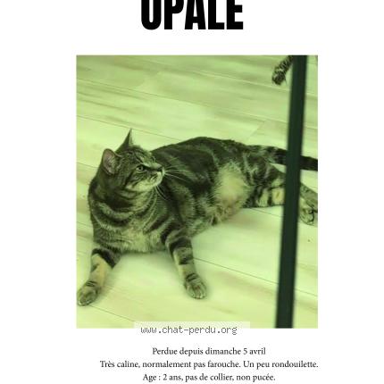 Photo 1/1 Opale Chat lost in Cenon