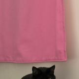 Picture of cat lost at Aubervilliers