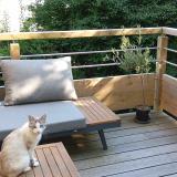 Picture of cat lost at Isse