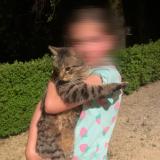 Picture of cat found at Les Coteaux Perigourdins