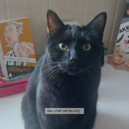 Photo 1/1 Taeyun Chat lost in Donzere