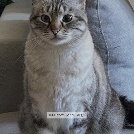 Photo 1/1 Sky Chat lost in Six fours les plages