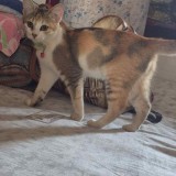 zuri