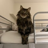 Tina
