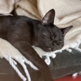 Etan