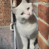 Billy