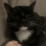Mr Boots