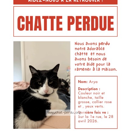Photo 1/1 Arya Cat lost in Laval