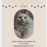 Coco