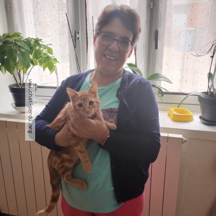 Photo of a cat found in Voiteur