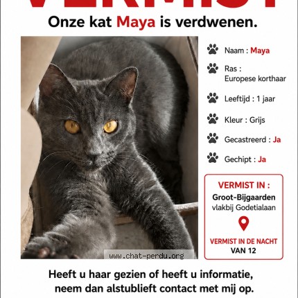 Foto 1/1 maya Kat vermist in Grand Bigard