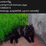 boby