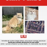 LILI