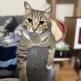 Ricki