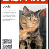 Lucie