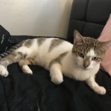 Rosie