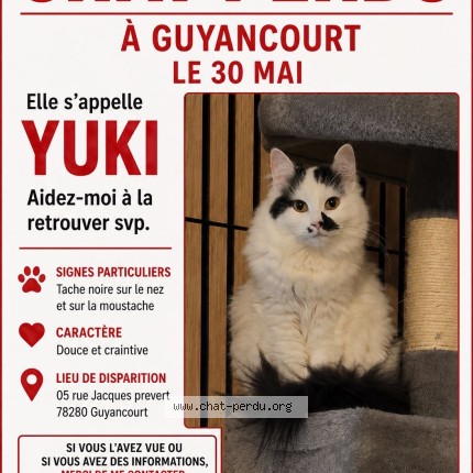 Photo of a cat found in Guyancourt