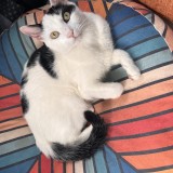 Walter
