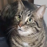 Ka&iuml;ro