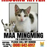 maa mingming