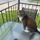 Mia