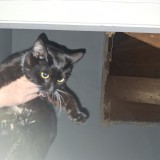 Salem