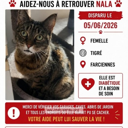 Foto 1/1 nala Kat vermist in Farciennes