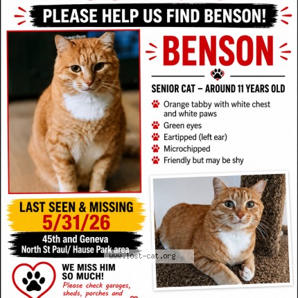 Photo 1/2 Benson Cat lost in North St Paul