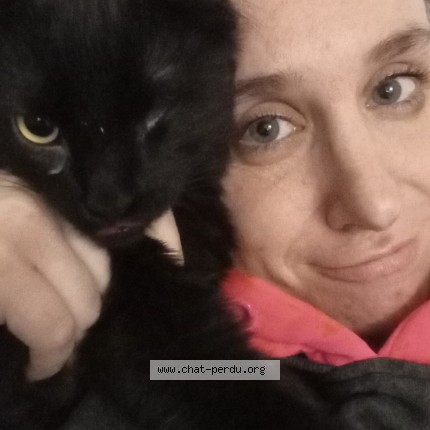 Photo of a cat found in Saint Apollinaire
