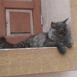 manku