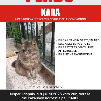 Photo of a cat found in Pau
