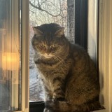 Mimi